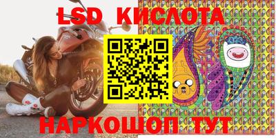сатива Сланцы