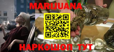 сатива Сланцы