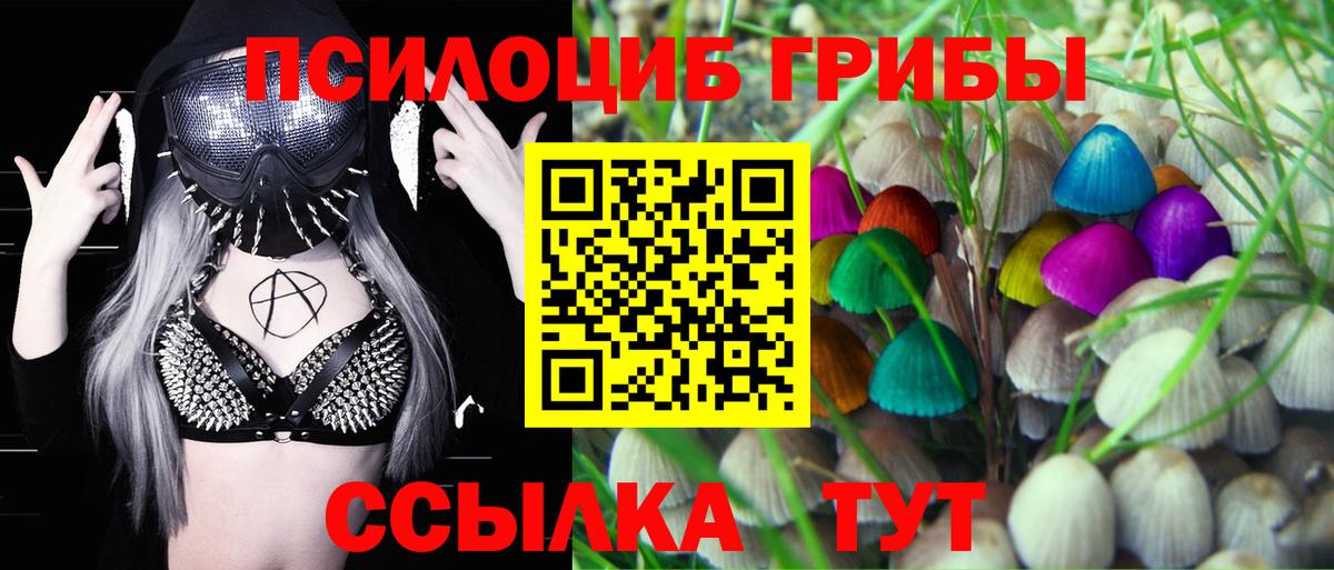 Псилоцибиновые грибы Psilocybe  Вход с VPN  Псилоцибиновые грибы MAGIC MUSHROOMS  цены   Печора 